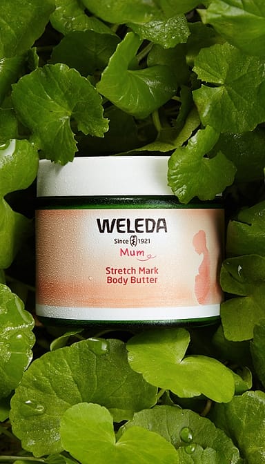 Weleda Organic Mama Pregnancy Body Butter -(1 X 150 ml)